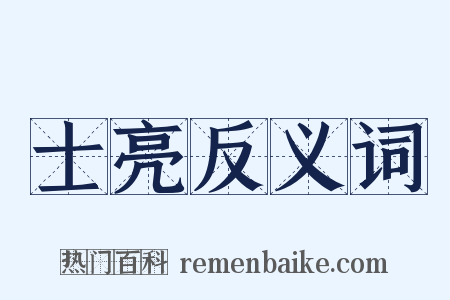 士亮反义词是什么意思的图片